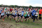 Boys under-13s Start Fitness North Eastern Harriers League, Wrekenton, Gateshead. Photo:  David T. Hewitson/Sports for All Pics
